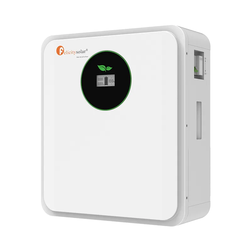 Batería de Litio FelicitySolar 24v (25.6v) 100ah. 2.56kwh, bms integrado, DOD 80-95%